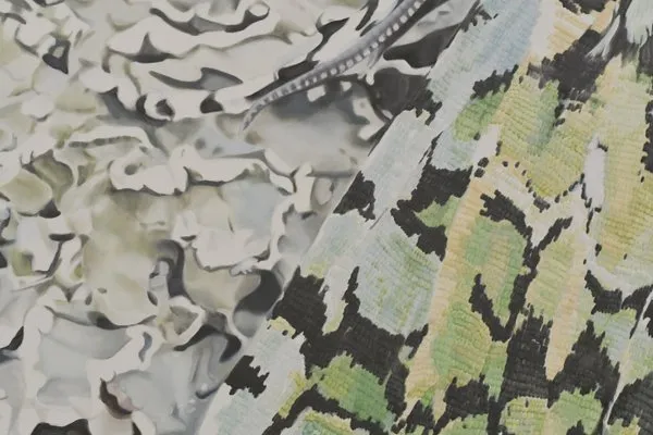 Ecorce, lichen, merveille.